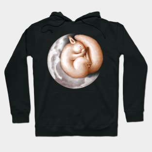 Cute squirrel sleeping on the moon. Hoodie